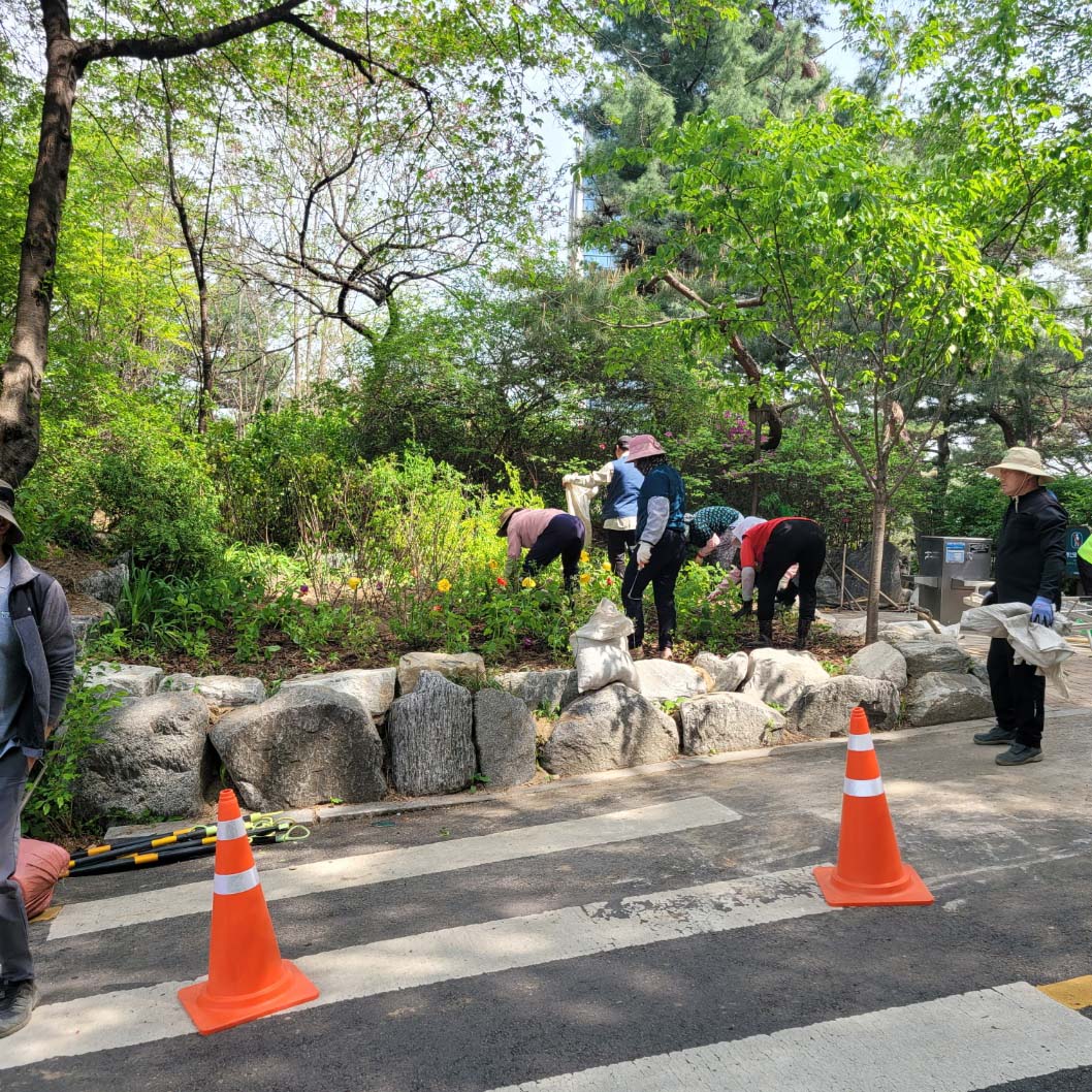 조성사진