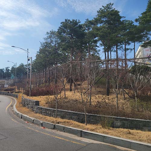 조성사진