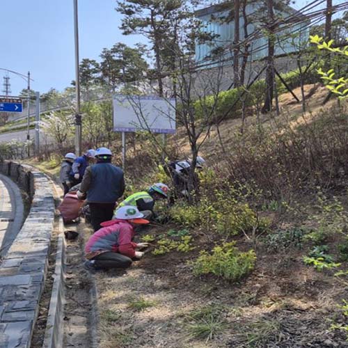 조성사진