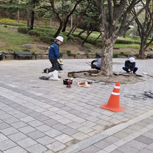 조성사진