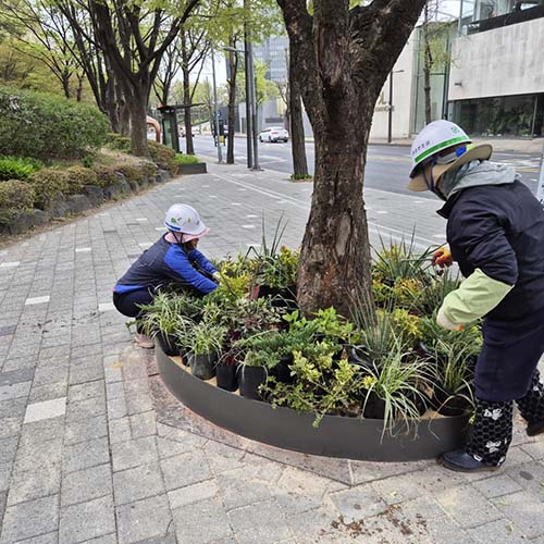 조성사진