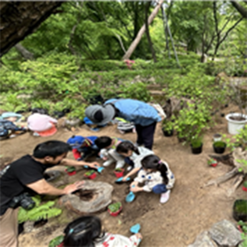 조성사진