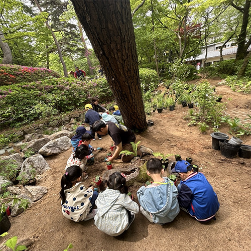 조성사진