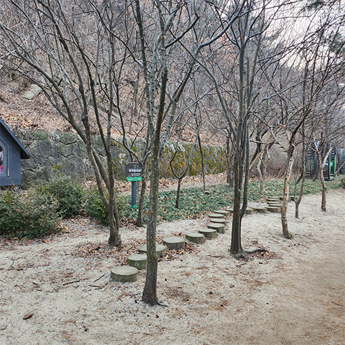 조성사진