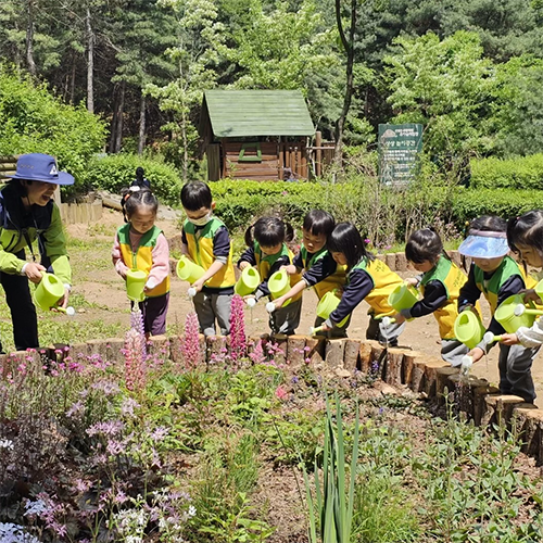 조성사진