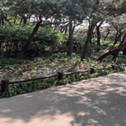 조성사진