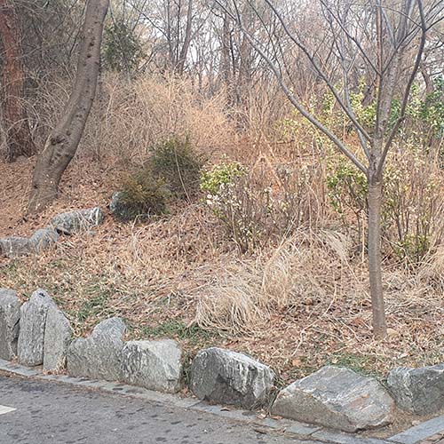 조성사진