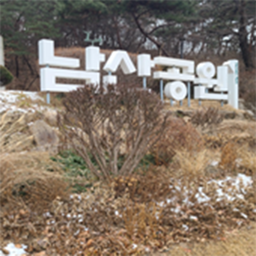 조성사진