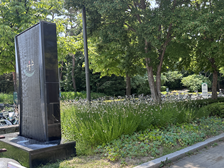 조성사진