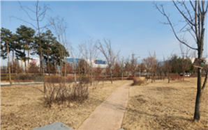 조성사진