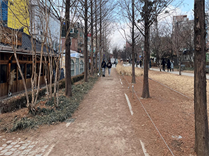 조성사진