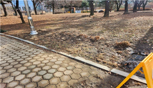 조성사진