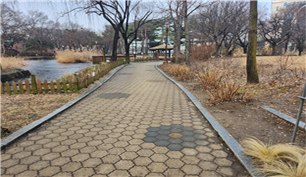 조성사진