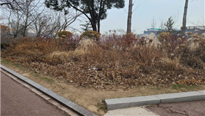 조성사진