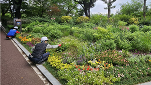 조성사진