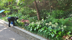 조성사진