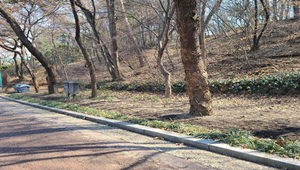 조성사진
