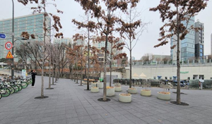 조성사진