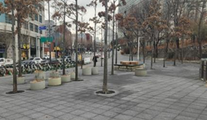 조성사진