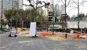 조성사진