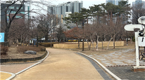 조성사진