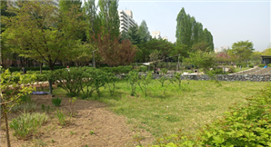 조성사진