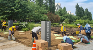 조성사진