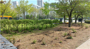 조성사진