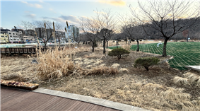 조성사진