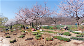 조성사진