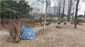 조성사진