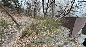 조성사진