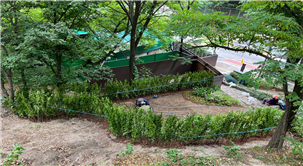 조성사진