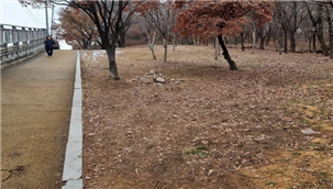 조성사진