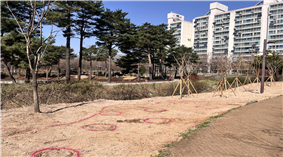 조성사진