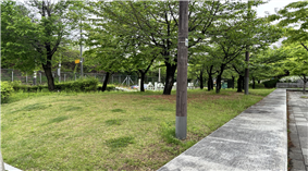 조성사진