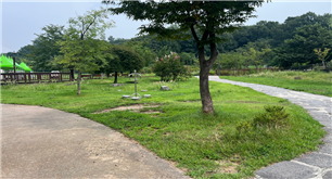 조성사진