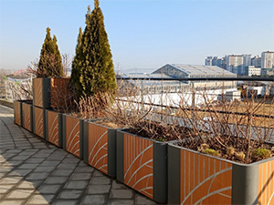 조성사진