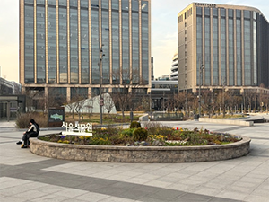 조성사진