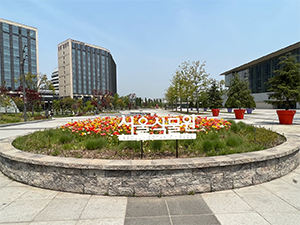 조성사진