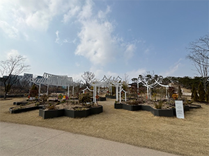 조성사진