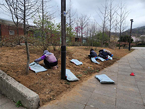 조성사진