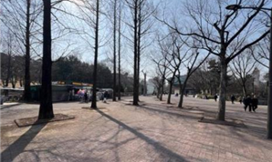 조성사진