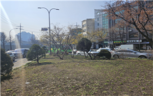 조성사진