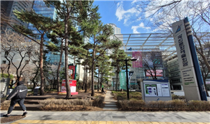 조성사진