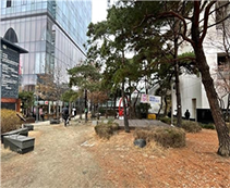 조성사진