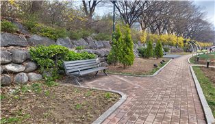 조성사진