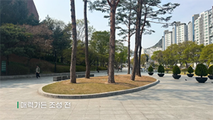 조성사진