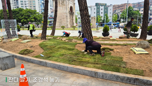 조성사진