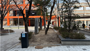 조성사진